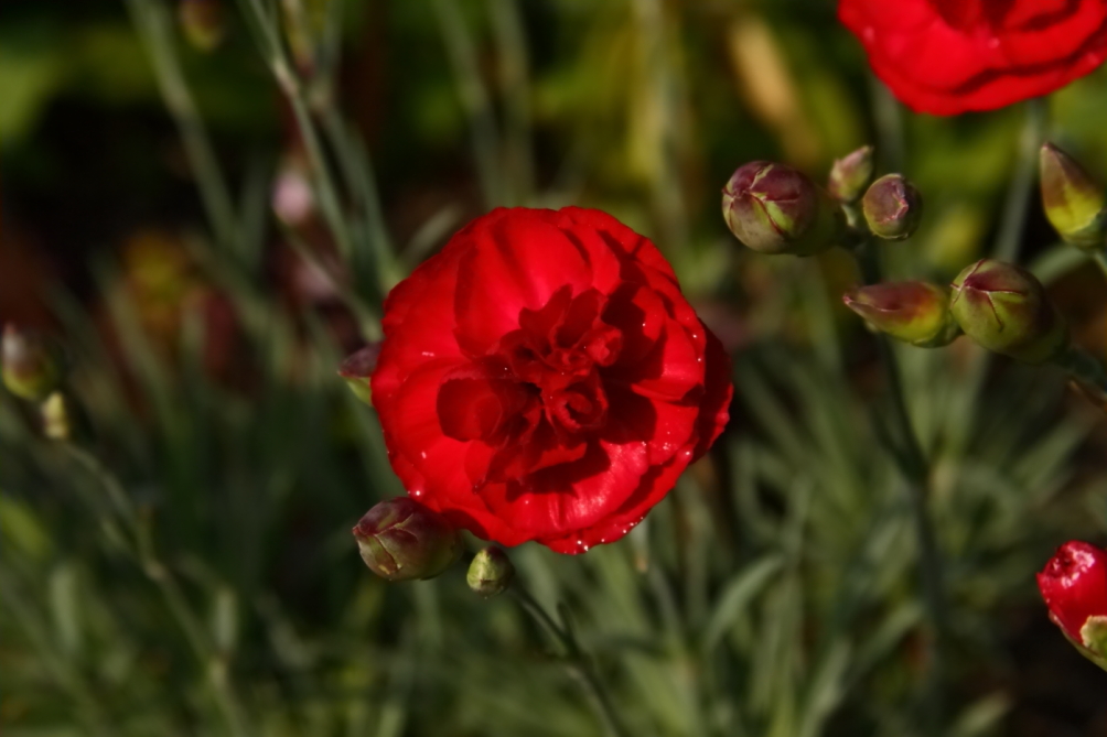 2012 05 16 2780